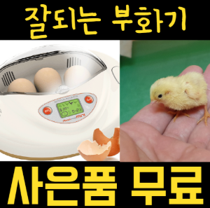 미니알콤 자동 부화기 (패드10+알 3개 무료)